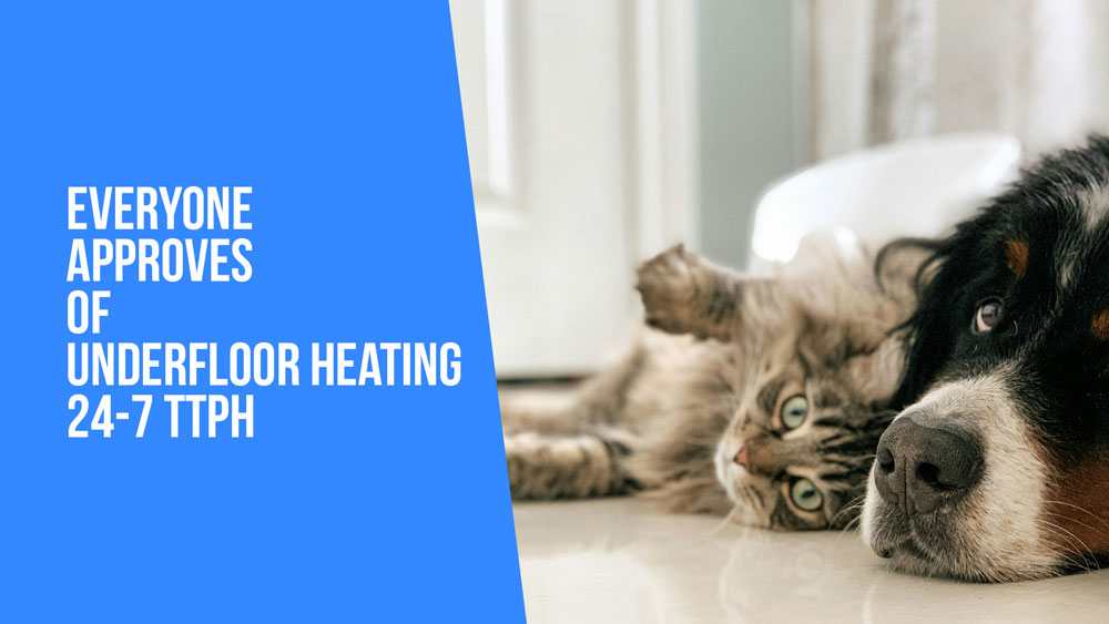 Cat and dog laying on warm floor with blue section and text reads - Everyone approves of underfloor heating 24-7 TTPH